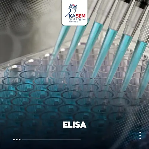 ELISA Eğitim Programı