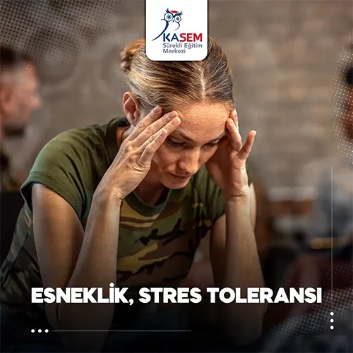 Esneklik, Stres Toleransı Eğitim Programı