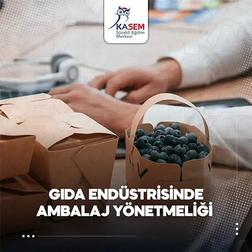 Gıda Endüstrisinde Ambalaj Yönetmeliği Eğitim Programı