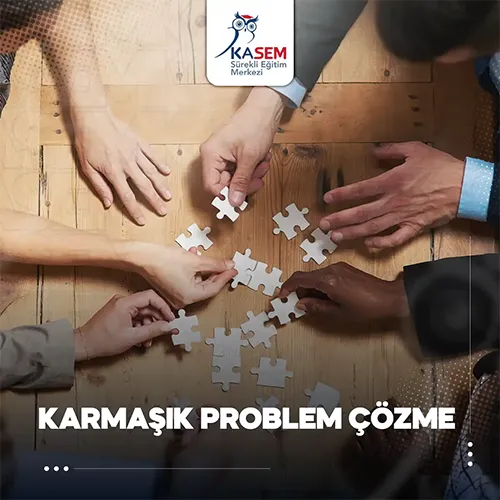Karmaşık Problem Çözme Eğitim Programı