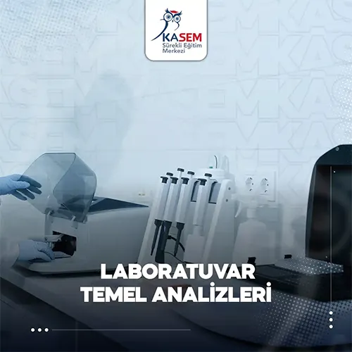 Laboratuvar Temel Analizleri Eğitim Programı