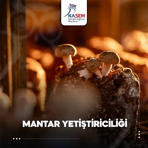 Mantar Yetiştiriciliği Eğitim Programı