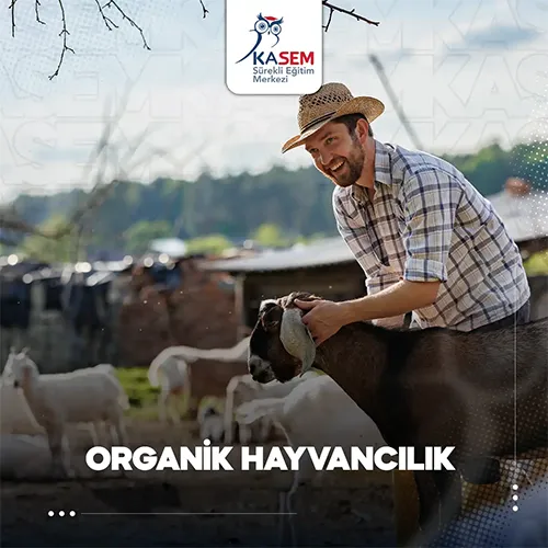 Organik Hayvancılık Eğitim Programı