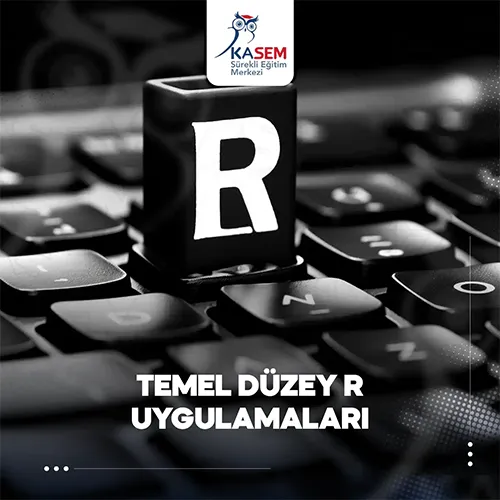 Temel Düzey R Uygulamaları Eğitim Programı