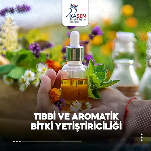 Tıbbi ve Aromatik Bitki Yetiştiriciliği Eğitim Programı